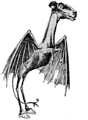 Jersey Devil.jpg